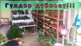 Цветочный ряд!Кызыл-Кыя 15.03.2022