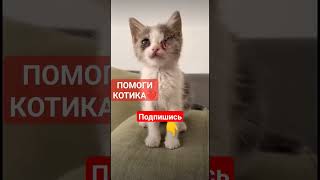 Помогите до моего дня рождения добить 100к подписчиков, спасибо ❤️￼￼￼￼