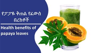 የፓፓዬ ቅጠል የፈውስ በረከቶች /Health benefits of papaya leaves/