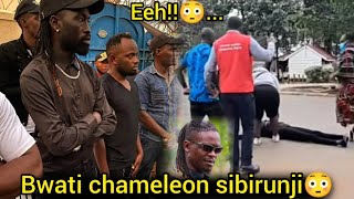 Ekigudde! Ku jose chameleon sibirunji laaba ekiri wo ne weasle ate kika