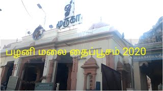 பழனி மலை தைப்பூச விசேஷம் 2020 || Palani murugan temple thaipoosam  || Avudai Yummy Recipes