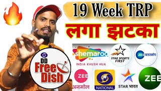 19 Week TRP rating list | 46th Eauction MPEG 2 box | DD National,Star utsav,star Bharat, Zee Anmol🔥