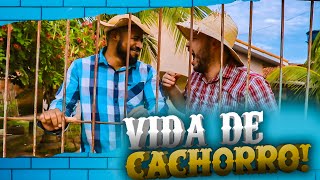 Vida de cachorro - pagando mico