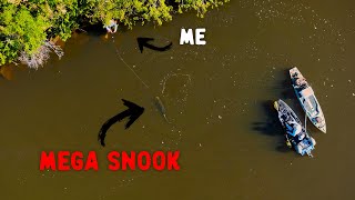 Mega Snook Mission in Florida Backwaters | The Return of Monster Snook