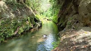 tara, maligo sa ilog