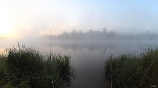 Рыбалка после ремонта камеры. Изменения и краткий пересказ.