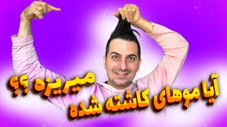 آیا موهای کاشته شده می ریزد؟ کاشت مو و ریزش موهای کاشته شده