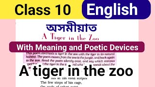 Class 10 English Poem "A tiger in the zoo"||  With rhyming words and Poetic Devices in Assamese