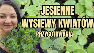 Jesienne wysiewy kwiatów jednorocznych. Jak się przygotować.