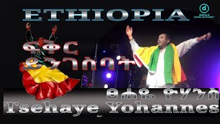 ፀሐዬ ዬሃንስ - ፍቅር ይንገስባት | Tsehaye Yo. Selam yisfenibat