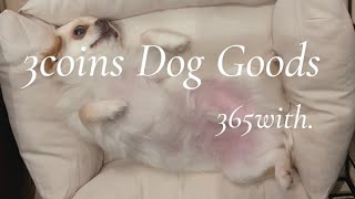 犬をダメにするペットベッド🛏💤 3COINSのわんちゃんグッズいろいろ買ってみました🐾【3coins dog goods】