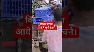 मुर्गी कैसे बेचे। How to sell murgi. Sonali, ffg, rir, Kadaknath. Desi murgi Palan. Eggs.