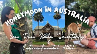 Lone Pine Koala Sanctuary 🐨 | InterContinental Sanctuary Cove Resort 🏨