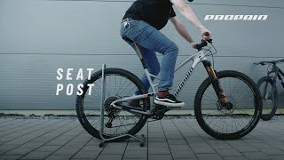 Seat Post I PROPAIN Basics