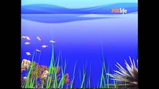 Magic Lantern - Bajo el agua - BabyTV