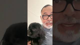 Mi Perro TIENE DEPRESIÓN por MUERTE de OTRO PERRO