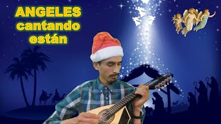 Ángeles cantando están | Angels We Have Heard on High #mandolin #piano #Navidad