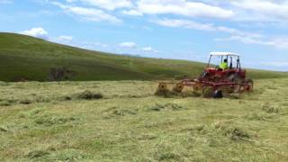 Kubota M4950DT Raking with a finger wheel rake