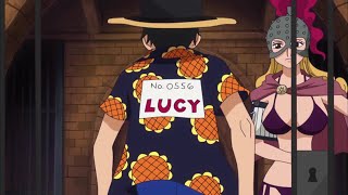 Lucy enters the competition