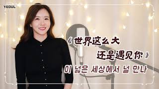 《世界这么大还是遇见你（清新的小女孩）이 넓은 세상에서 널 만나》 韩语版｜한국어커버｜COVER By 韩国欧尼蔚蔚한여울