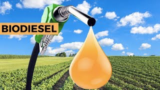 ¿Qué es el BIODIESEL?🌿 Ventajas y Desventajas