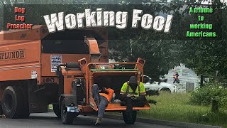 Working Fool