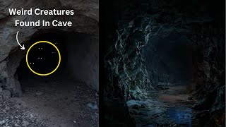 Top 5 Creepiest Caves Mysteries That Will Freak You Out