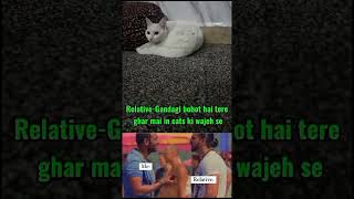 cat funny moments #trending #catlover #catcatfunnyfightcompilation