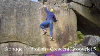 Stanage Plantation - Crescent Groovelet 5