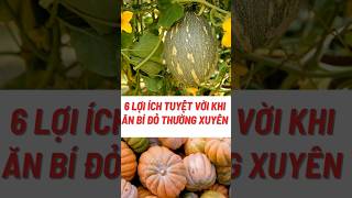 6 Lợi Ích Tuyệt Vời Khi Ăn Bí Đỏ Thường Xuyên#biquyetsongkhoetre #shortsvideo #food