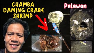 Pangingilaw sa gabi daming crab 🦀 at shrimp 🍤 D2 lang sa palawan..