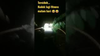 Terciduk kodok sedang fitness malam hari 😅😅