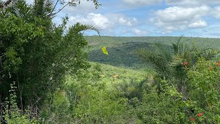 Sul da Bahia - Bom Jesus da Serra