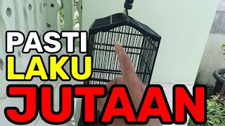 NGILER GAK LOE ?! BURUNG INI PASTI LAKU JUTAAN RUPIAH.