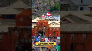 Day 017 Badrinath Dham | #shorts #badrinath #chardham #minivlog