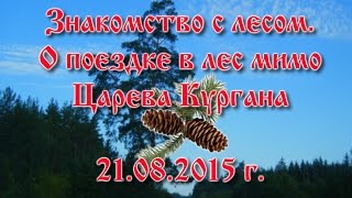 Знакомство с лесом. О поездке в лес. Царев Курган - достопримечательность.