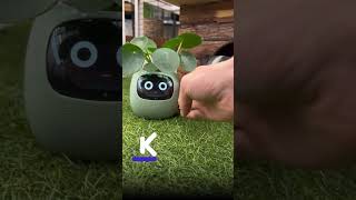 💁🏻‍♀️Smart Plant Ivy, akıllı ev teknolojisi ile bitki bakımı kolaylaştıran bir üründür.