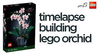 LEGO ORCHID-BUILDING PROSES