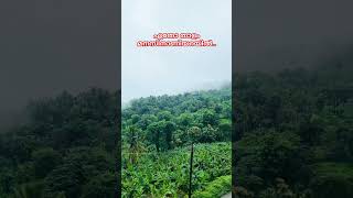 ഏതോ താളം #shortvideos #landscape #kakkadampoyil