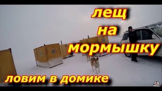 Ловля леща на мормышку. Ловим в домике.