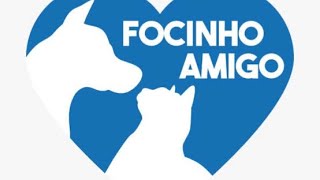 ADOTEI UM PET EM INDAIATUBA | AJUDE A FOCINHO AMIGO