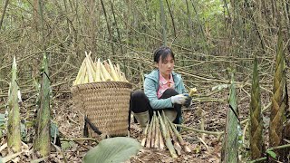 Harvest bamboo shoots in the mountains to sell at the market/buy more chicks to raise