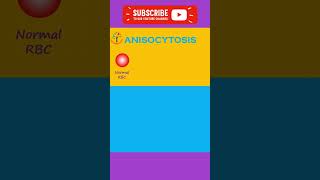 Anisocytosis & Poikilocytosis l #trendingshorts #PATHOGENESIS #ytshorts