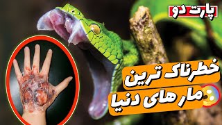 خطرناک ترین مار دنیا 🐍🔥