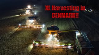 XXL Harvesting in DK!! | 4 Claas Lexion 8800 w/ Convio 1230 & Fendt 939 w/ Hawe ÜLW 4000 I DLM