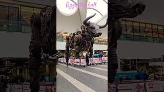 Ozzy the bull, Birmingham