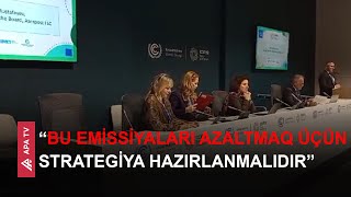 Qlobal istixana qaz emissiyalarının 10%-i poçt yükdaşımalarının payına düşür – APA TV