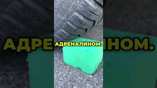 Интересные факты  #shors #факты