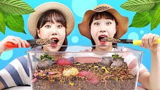 흙, 지렁이, 거미 먹방 Mukbang Edible Soil Bugs & Earthworm by yomi yami