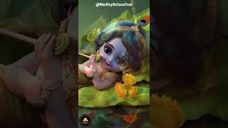 Adharam Madhuram || Krishna Song || Krishna Bhajan | Madhurashtakam #ramandir #navaratri #durgapuja